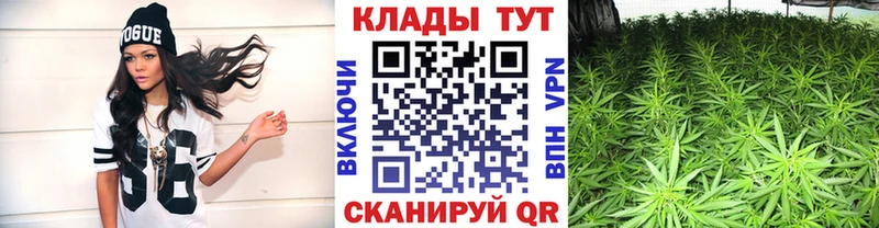 Купить Сясьстрой Альфа ПВП  Каннабис  Cocaine  Бутират  ГАШ  MEGA ссылка  Меф 