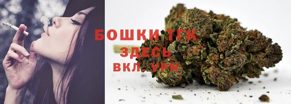 винт Лагань