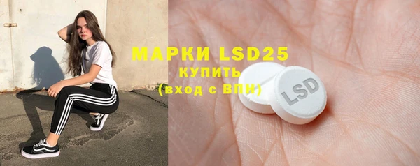 прущие грибы Лабытнанги
