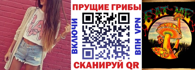 Псилоцибиновые грибы Cubensis  мега зеркало  Сясьстрой 